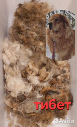 Собачья шерсть. Пряжа
