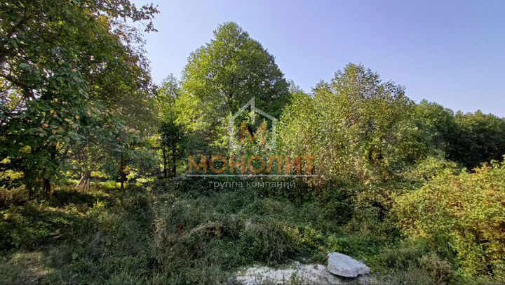 Участок 42 сот. (ИЖС)