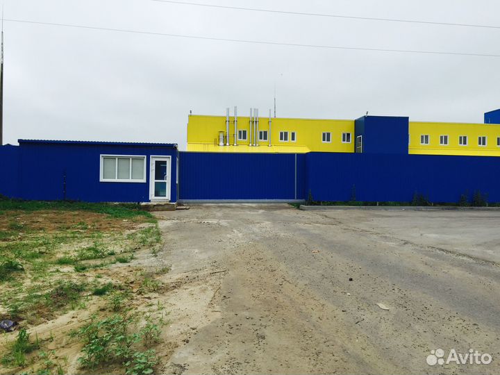 Продажа мясоперерабатывающего комплекса