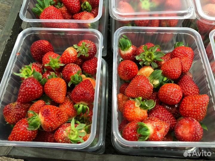 Клубничка выращена в Кирове