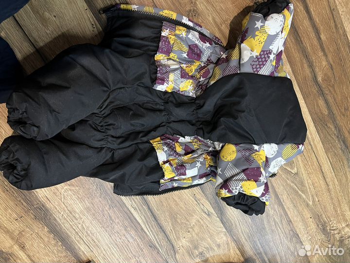 Одежда для собак