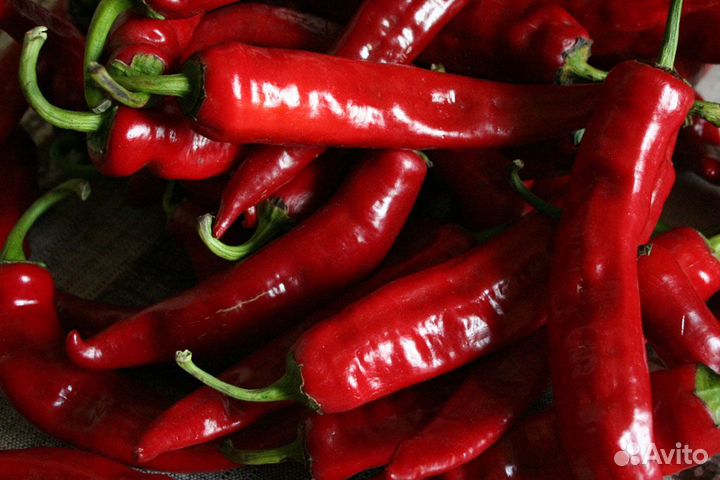 Перец острый