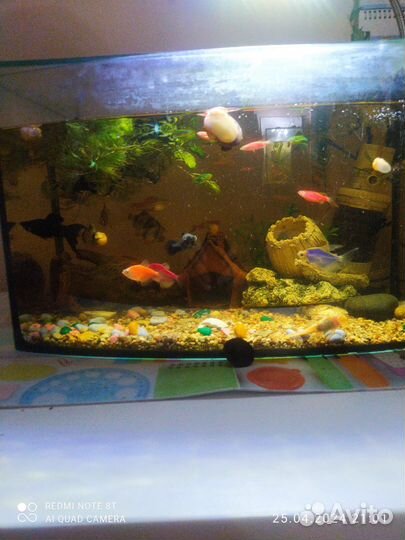 Аквариум 35 литров