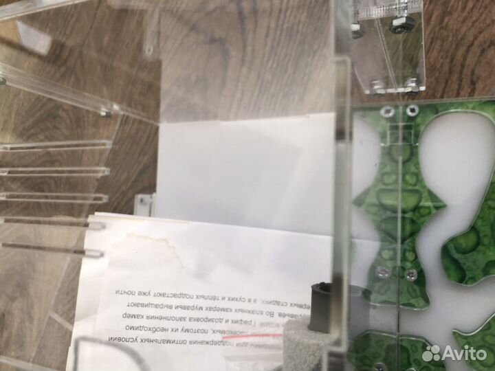 Формикарий муравьиная ферма