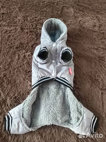 Одежда для собаки