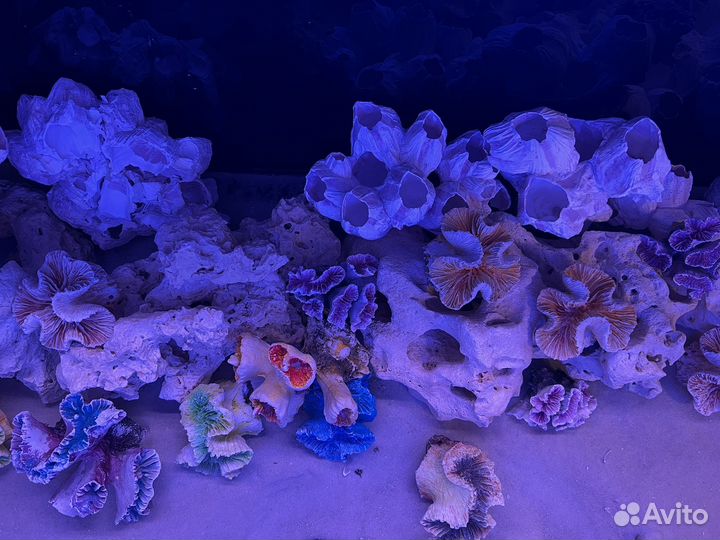 Аквариум 150 литров