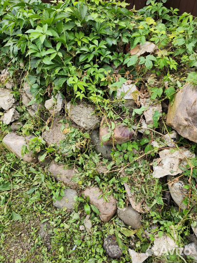 Камень природный