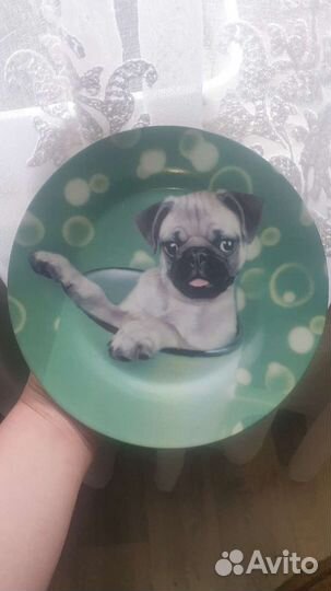 Тарелка сувенирная Мопс
