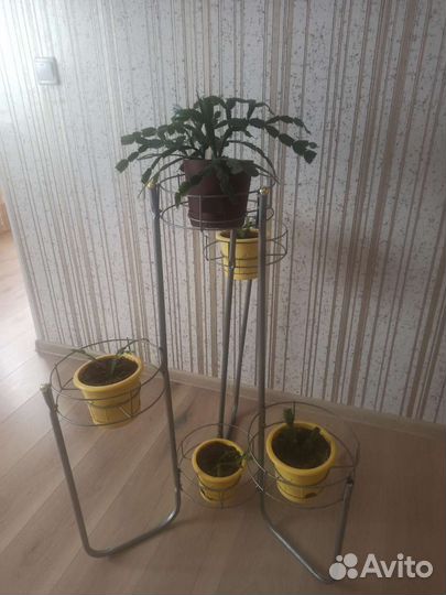 Подставка под цветы