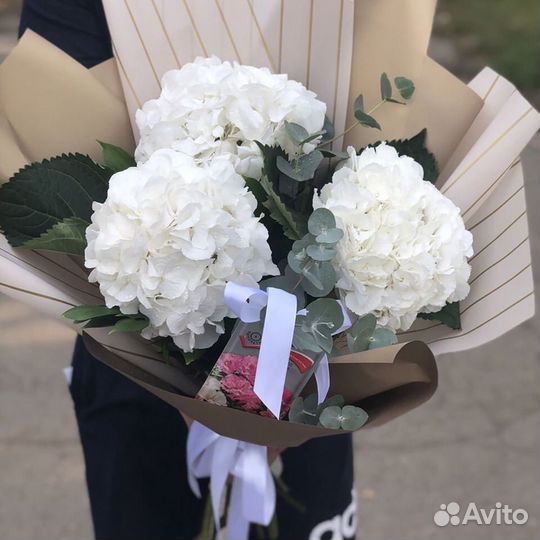 Букет из гортензий 11 21 31 51 101 Доставка