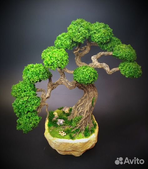 Бонсай Подарок