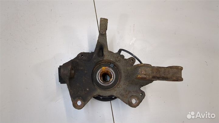 Ступица (кулак, цапфа) Renault Megane 3 2009, 2009