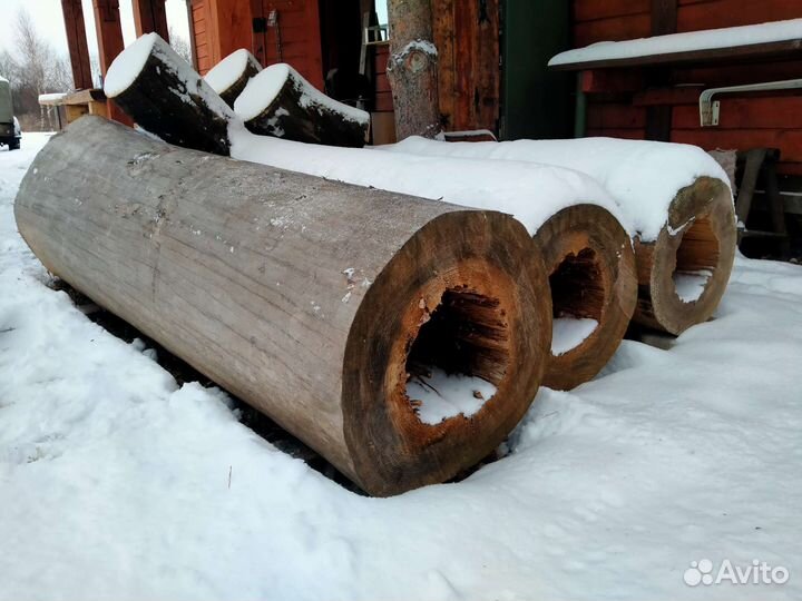 Спилы (Слебы) дерева