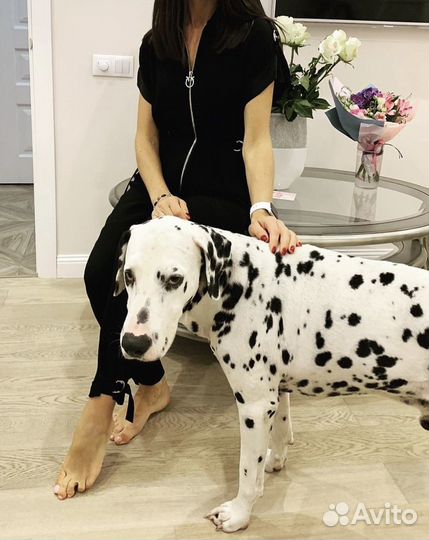 Pikolino комбинезон