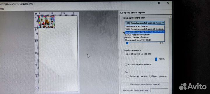 Принтер Epson AcroRip 10