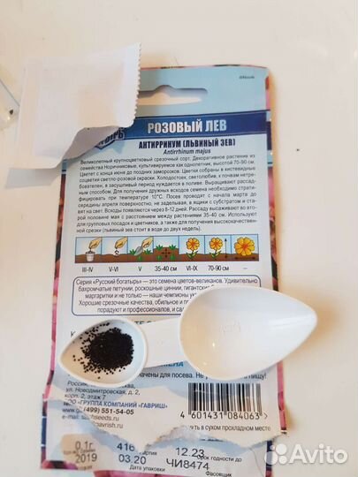 Семена цветы львиный зев, турецкая гвоздика