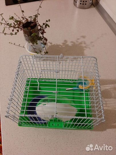 Клетка для грызунов бу