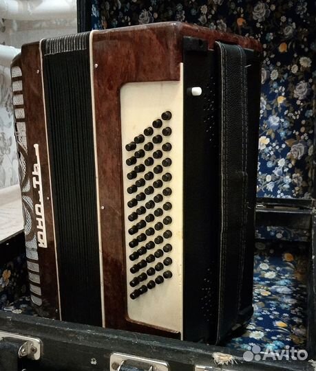 Аккордеон «Юность»