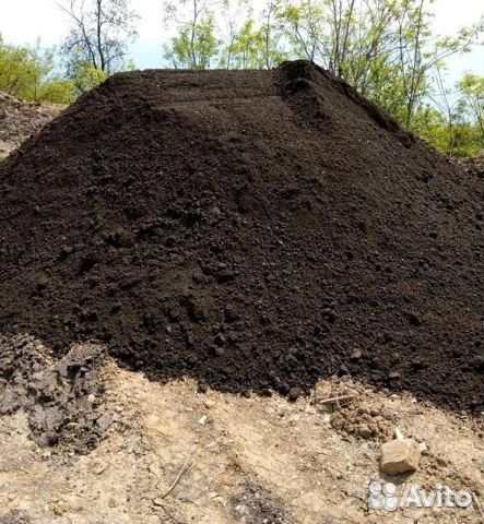 Чернозем, земля плодородная. Перегной коровий