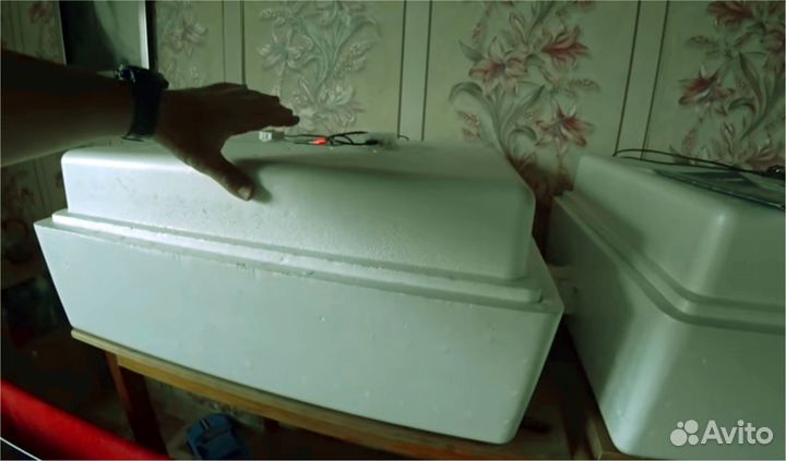 Автоматический инкубатор