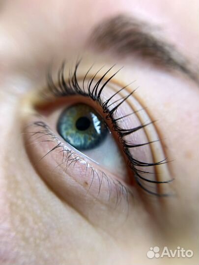 Коррекция и окрашивание бровей лами ресниц