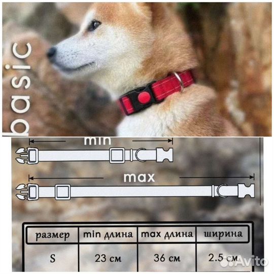 Ошейник для собак