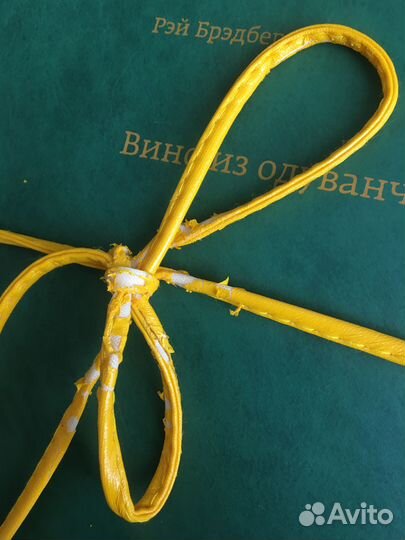 Вино из одуванчиков Рэй Брэдбери