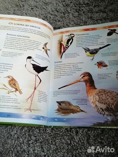 Энциклопедия новая