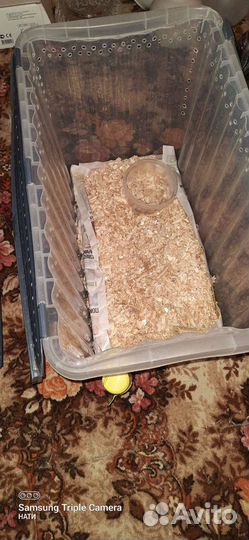 Готовое жильё для грызунов