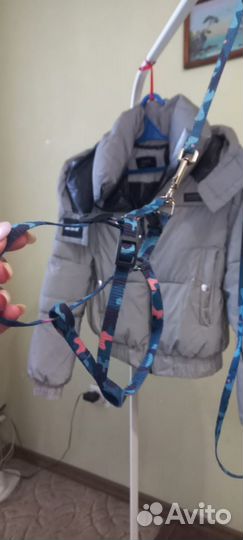 Шлейка с поводком для котика