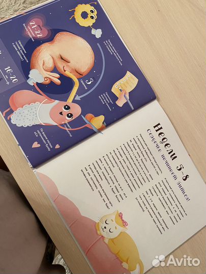 Дневник беременности 