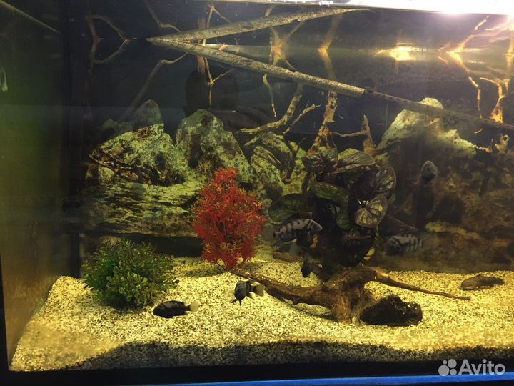 Аквариум 400 литров с тумбой
