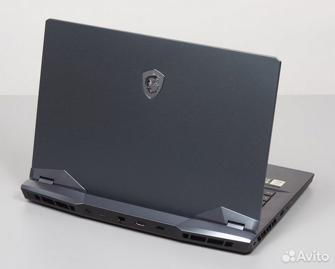 MSI GE66 Raider 10SF-016RU
