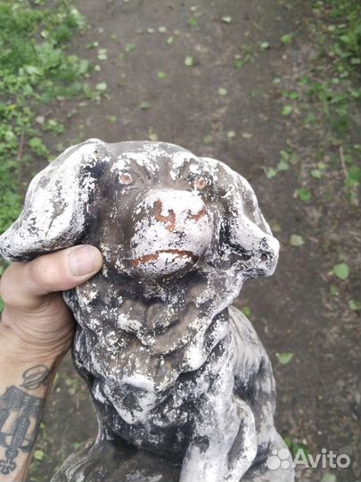 Собака антиквариат