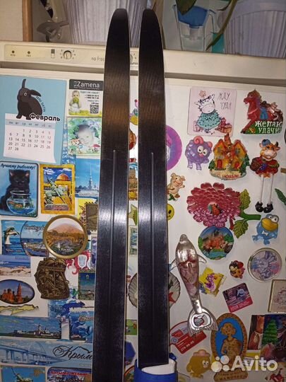 Беговые лыжи Fischer LS combi