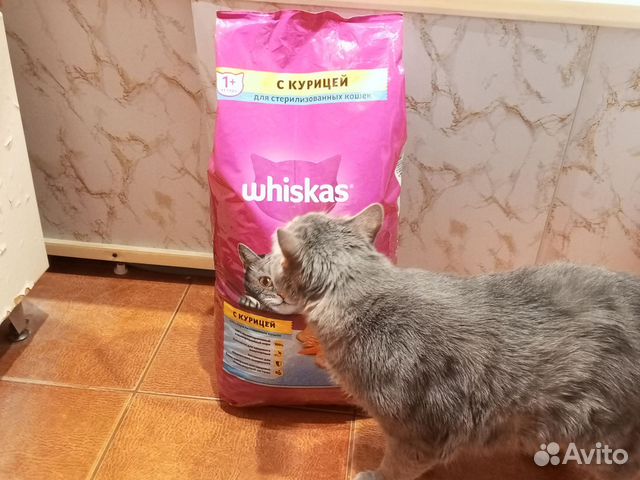 Сухой корм для кошек whiskas 5 кг в ассортименте купить во Владимире ...