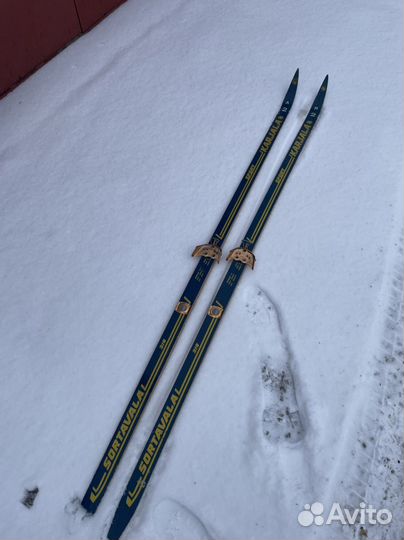 Беговые лыжи