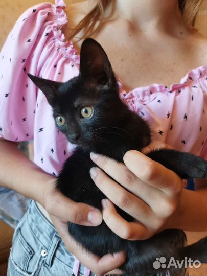 Ночка девочка 2 месяца