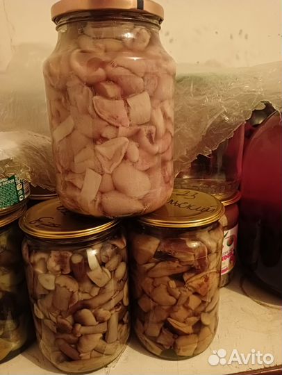 Грибы маринованные белый гриб, польский, опята