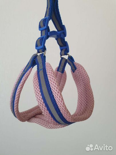 Шлейка для собак