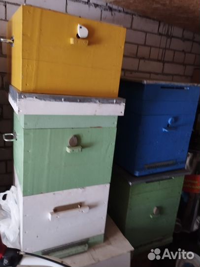 Ульи, прочий инвентарь для пчеловодства