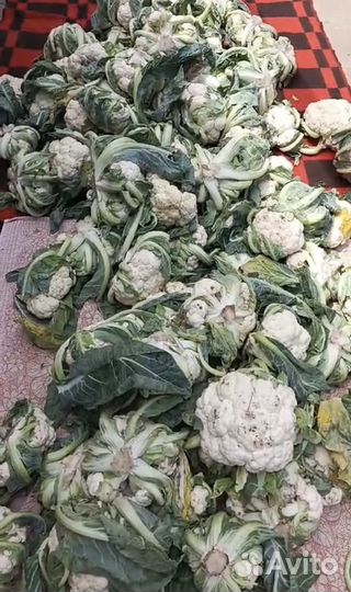 Цветная капуста