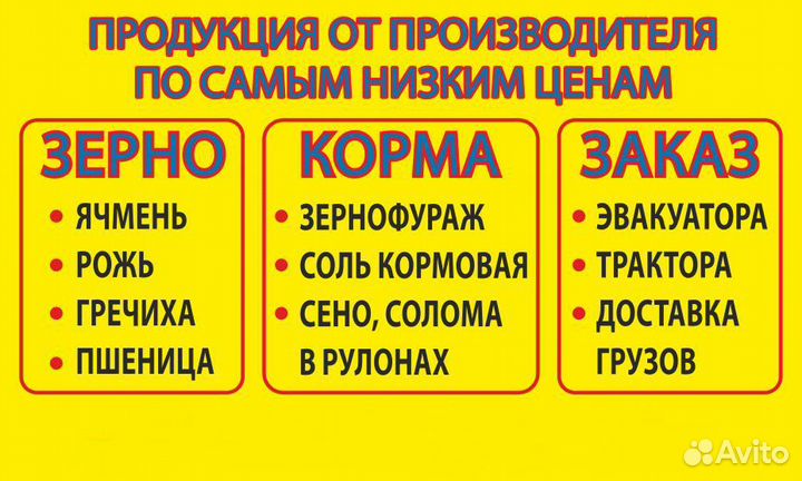 Рожь, ячмень, пшеница