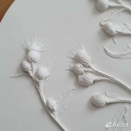Гипсовый ботанический барельеф