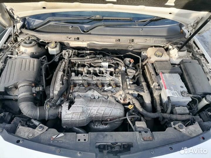 Ноускат (Передняя часть) Opel Insignia