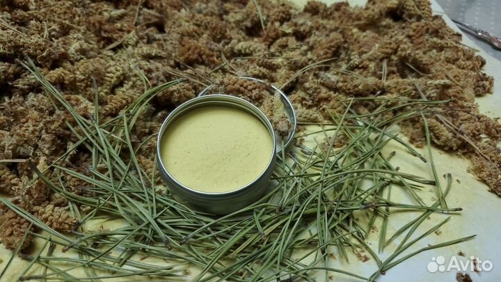 Пыльца сосны