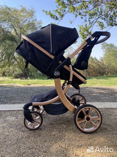 Коляска 2 в 1 luxmom