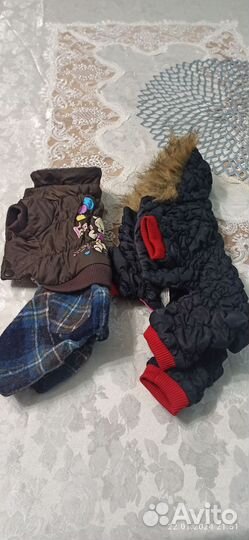 Одежка для собачек