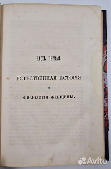 Герцеги, М. Женщина. 1865