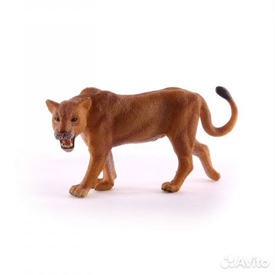 Львица L, 88415b